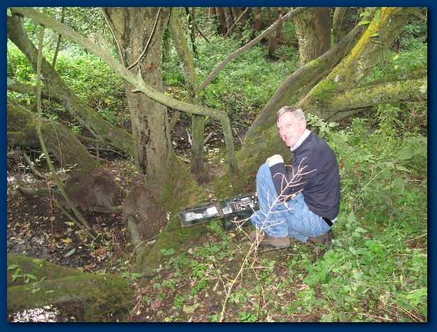 600x449 pixels (217K)